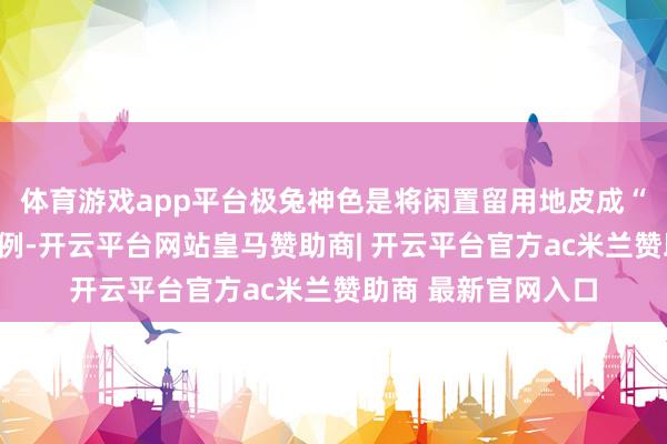 体育游戏app平台极兔神色是将闲置留用地皮成“聚宝盆”的典型案例-开云平台网站皇马赞助商| 开云平台官方ac米兰赞助商 最新官网入口