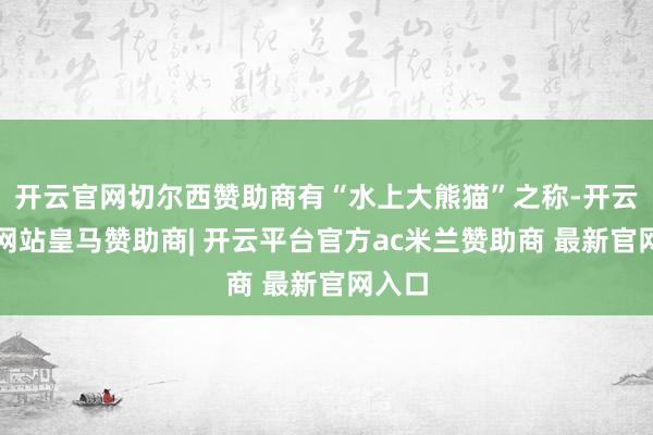 开云官网切尔西赞助商有“水上大熊猫”之称-开云平台网站皇马赞助商| 开云平台官方ac米兰赞助商 最新官网入口