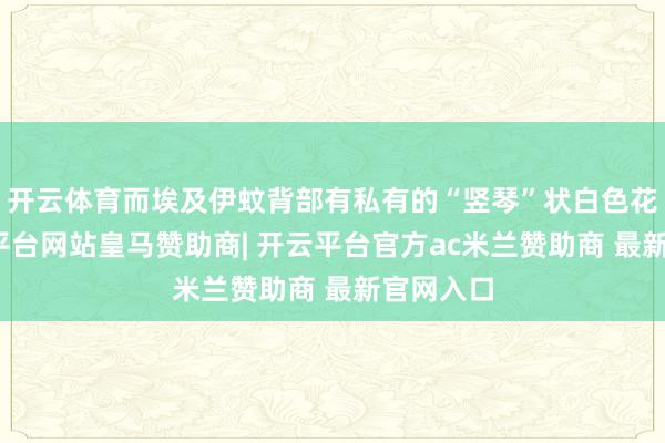 开云体育而埃及伊蚊背部有私有的“竖琴”状白色花纹-开云平台网站皇马赞助商| 开云平台官方ac米兰赞助商 最新官网入口