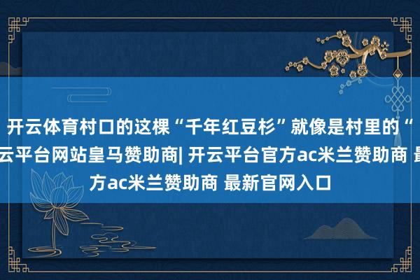 开云体育村口的这棵“千年红豆杉”就像是村里的“保护伞”-开云平台网站皇马赞助商| 开云平台官方ac米兰赞助商 最新官网入口