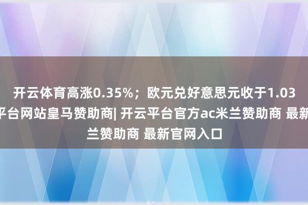 开云体育高涨0.35%；欧元兑好意思元收于1.0375-开云平台网站皇马赞助商| 开云平台官方ac米兰赞助商 最新官网入口