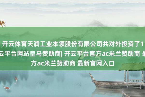 开云体育天润工业本领股份有限公司共对外投资了12家企业-开云平台网站皇马赞助商| 开云平台官方ac米兰赞助商 最新官网入口