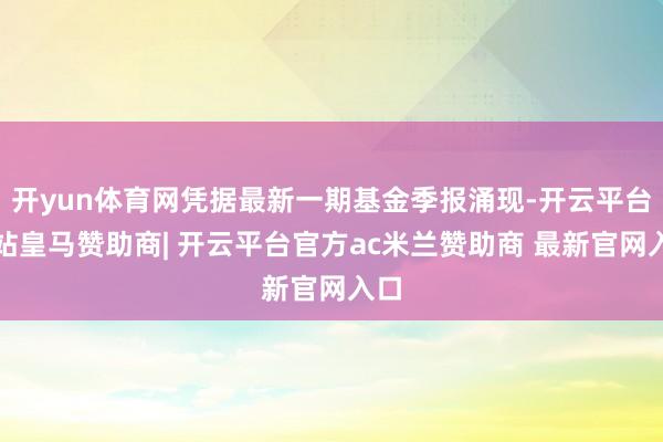 开yun体育网凭据最新一期基金季报涌现-开云平台网站皇马赞助商| 开云平台官方ac米兰赞助商 最新官网入口
