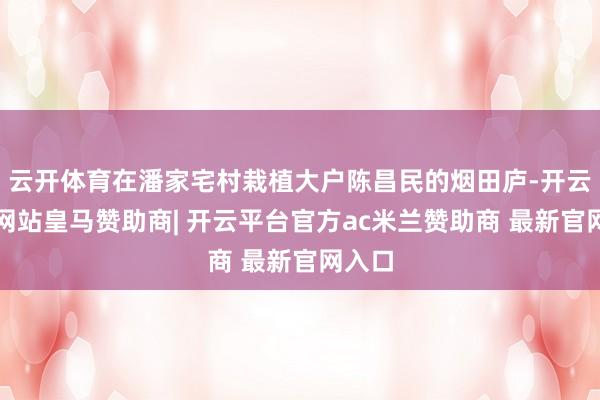 云开体育在潘家宅村栽植大户陈昌民的烟田庐-开云平台网站皇马赞助商| 开云平台官方ac米兰赞助商 最新官网入口